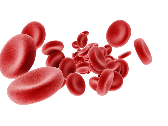 bloodcellssm